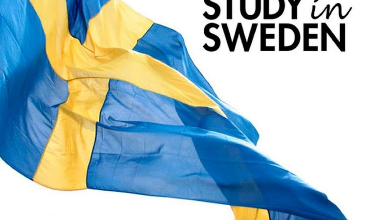 طبيعة الدراسة في السويد