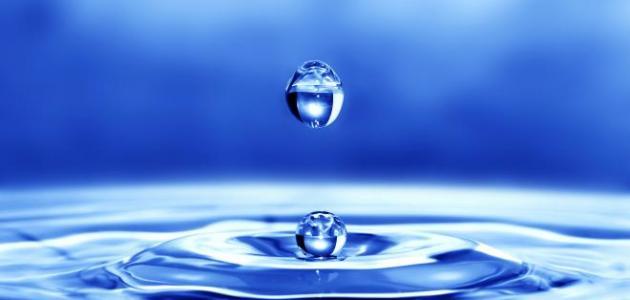 أهمية الماء في حياتنا