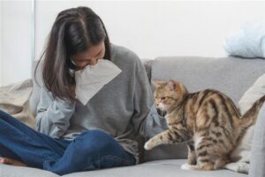 خطورة الإصابة بجرثومة القطط