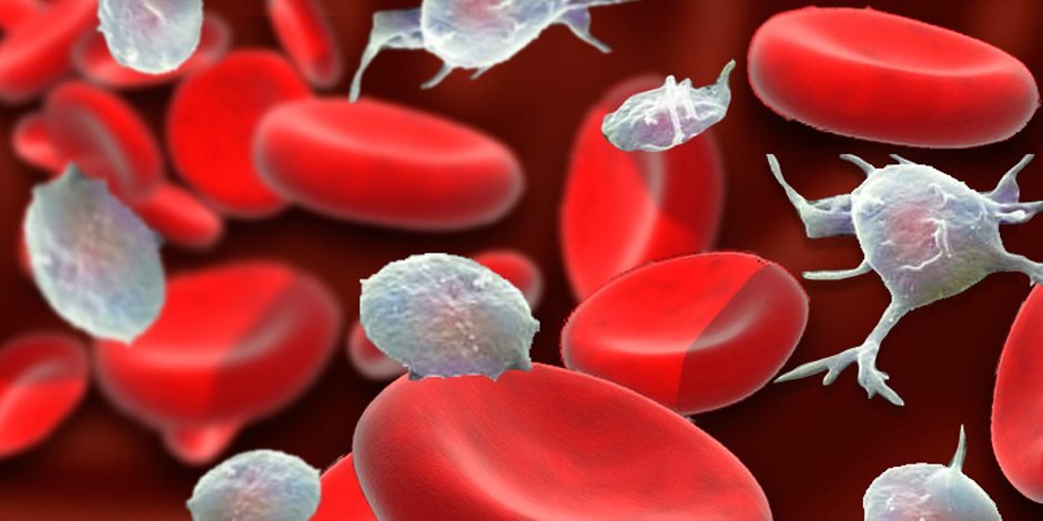 ما هي البلازما وما هي الصفيحات الدموية