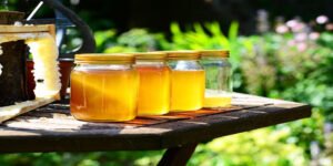 ما فوائد عسل السدر اليمني