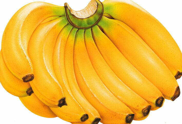 فائدة الموز للجنس