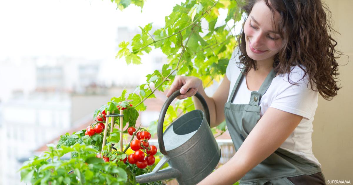كيف تحضر بذور الخضروات لزراعتها في حديقة المنزل